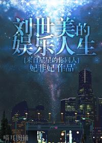 Liu Shimei's entertainment life