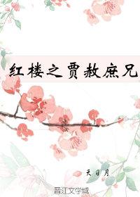 Brother Jia Sheshu of the Red Chamber
