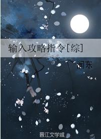 Enter Raiders Command [Comprehensive]